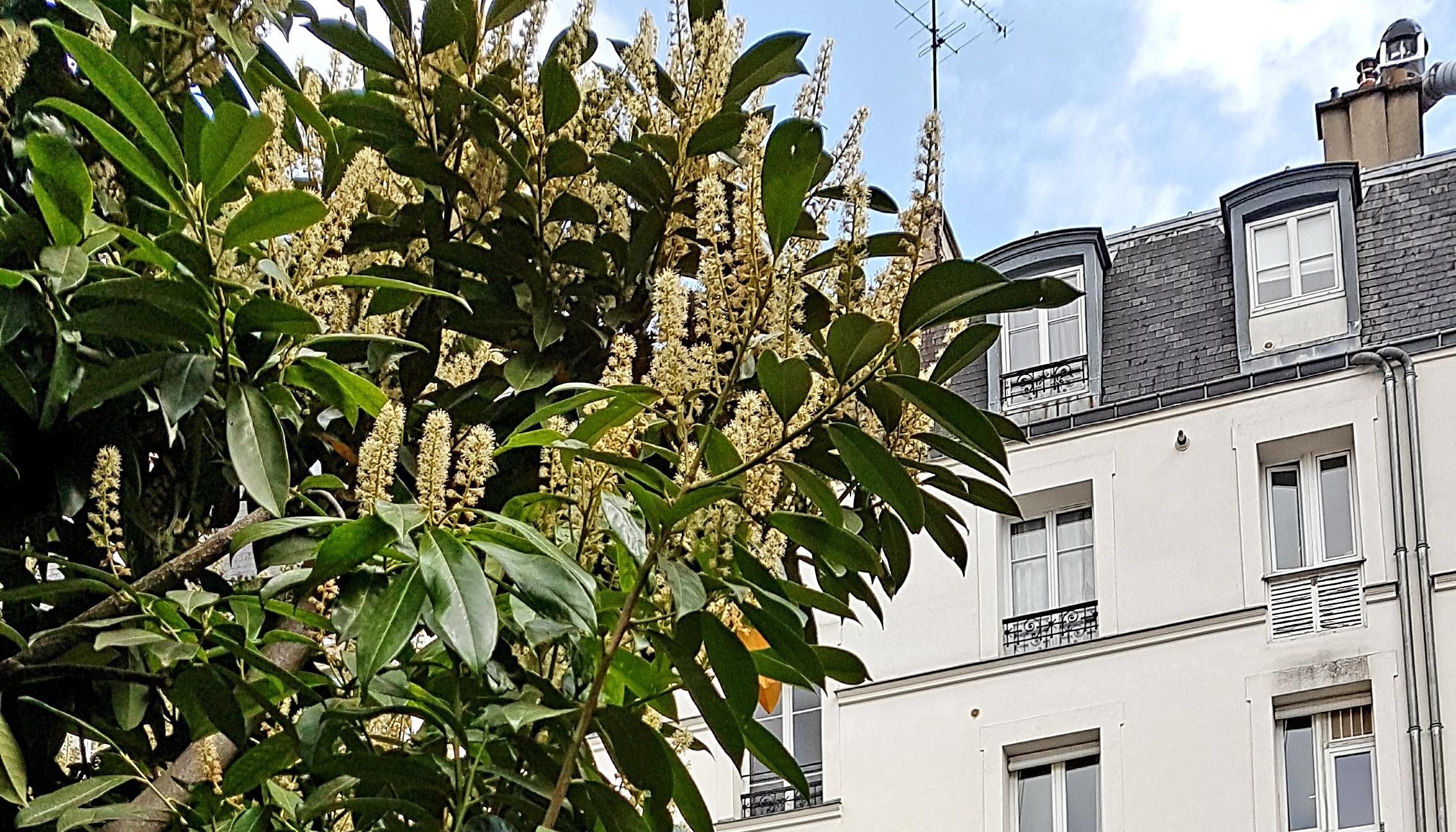 Catégorie socio-professionnelle et logement dans le Grand Paris : quels liens ? Quelle influence ? Quelles conséquences ? 