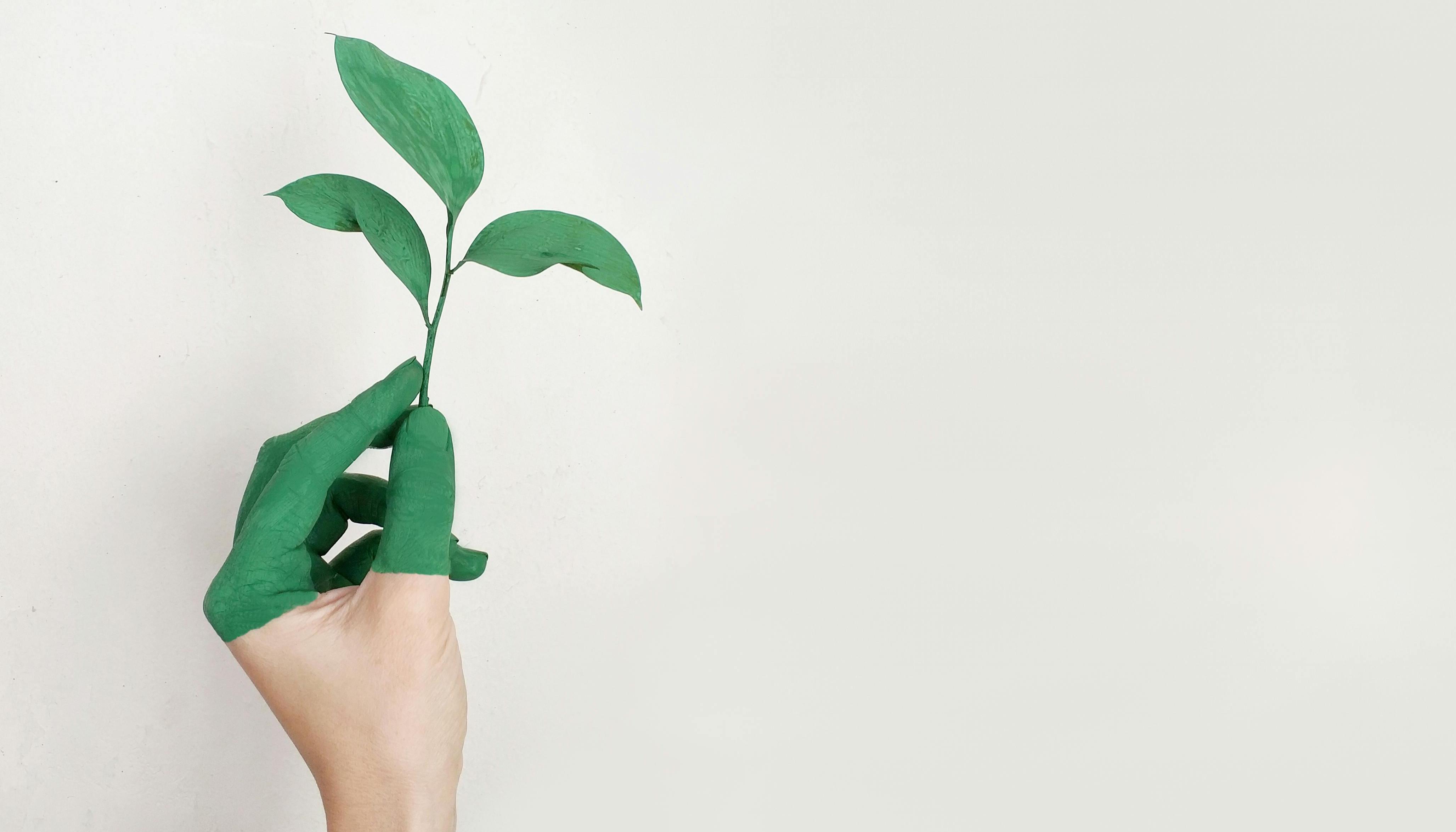 ECO Prêt à taux zéro ou Eco-PTZ, en vigueur jusqu’en décembre 2027